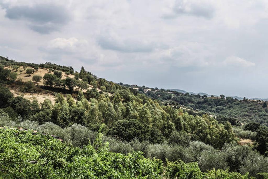 Agriturismo Miracco Atanasio Franco "Il Maniero" Santa Sofia d'Epiro Екстер'єр фото